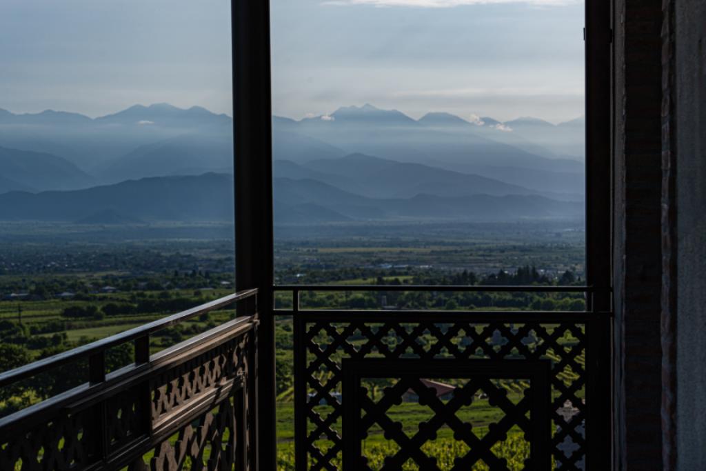 Deluxe Twin with Caucasus View-წასაშლელი